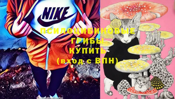 кокаин Богородицк