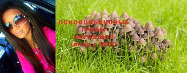 кокаин Богородицк